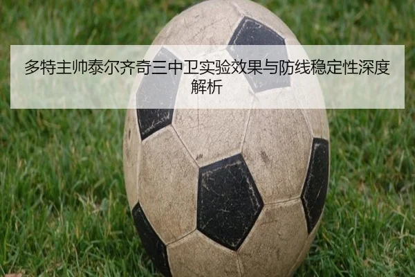 多特主帅泰尔齐奇三中卫实验效果与防线稳定性深度解析